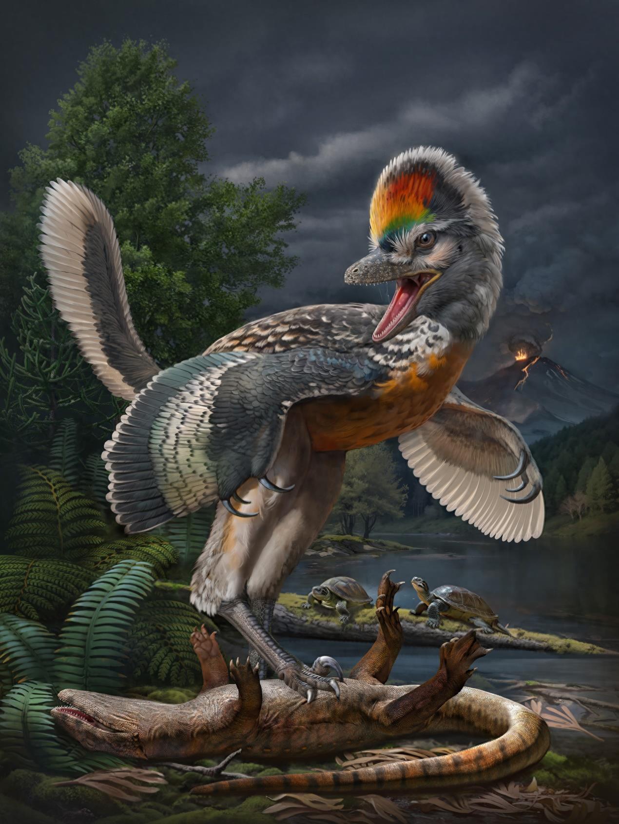 远古发现|福建首次发现恐龙化石 奇异福建龙填补鸟类起源的部分空白