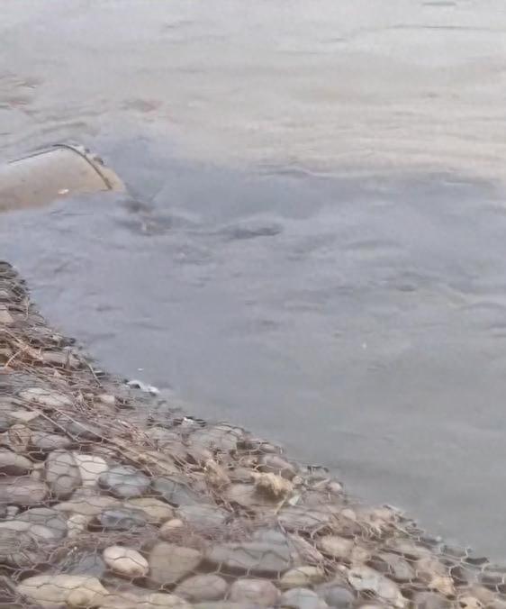 网友反映“有污水排入黄河”？兰州官方通报！