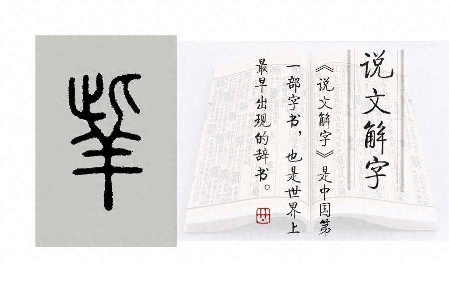 《说文解字》第729课：“羌”字为啥“从羊”？