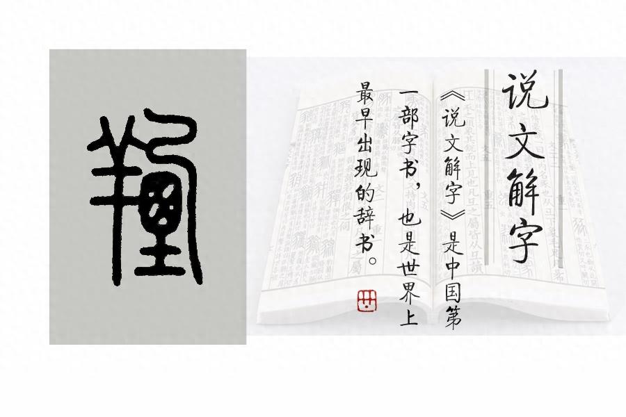 《说文解字》第729课：“羌”字为啥“从羊”？