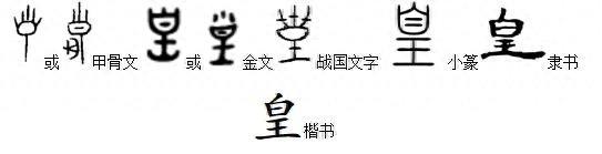 写意中国·说文解“字”丨张素凤：将古文字中的智慧应用到语文教学