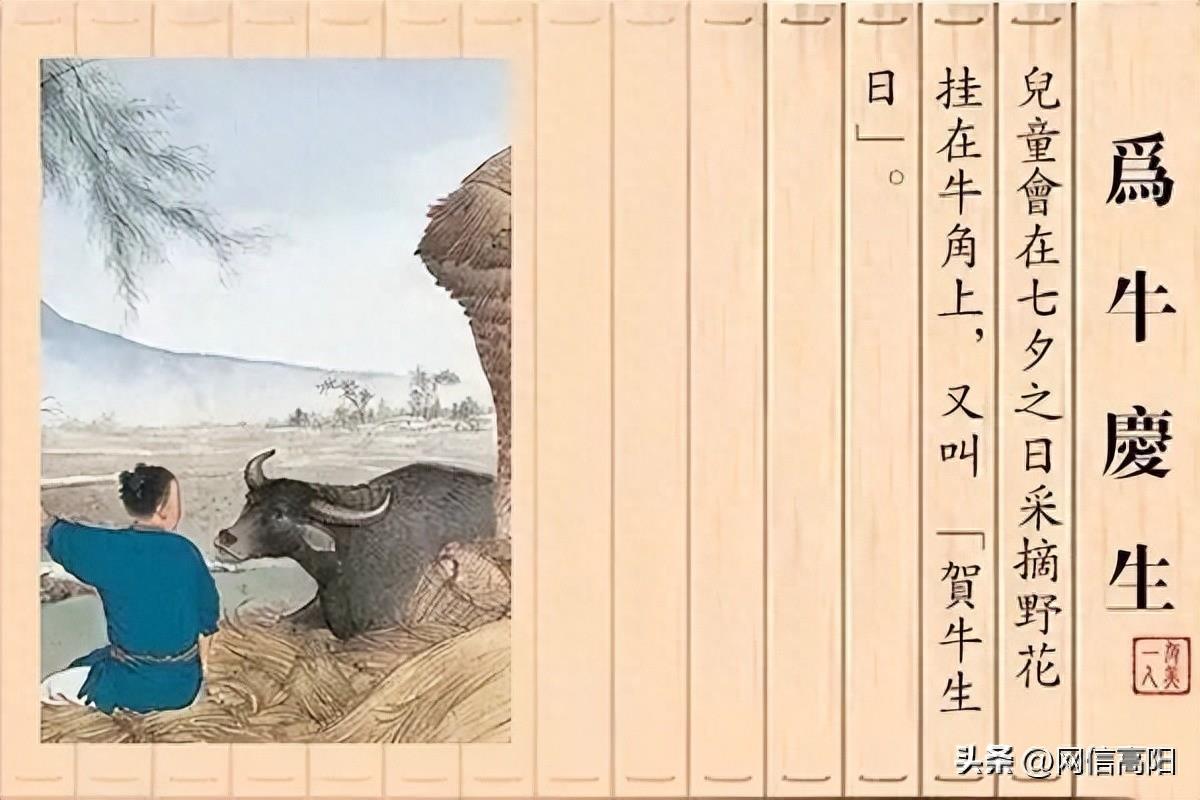 【网络中国节·七夕】涨知识 | 七夕各地民间习俗——为牛庆生