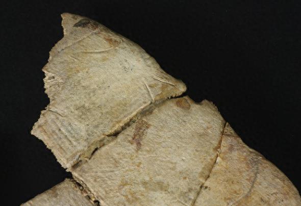 文博日历丨破解公元前7000年的神秘符号，从“八”开始！
