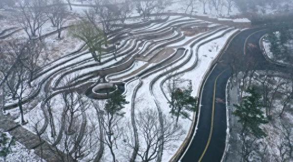 江苏下起“桃花雪”，河南多地暴雪红色预警！专家回应降雪成因