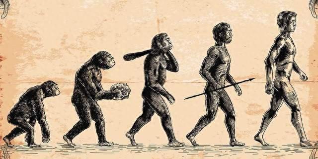 人类的屁股多么奇特：自然界独一无二，猿进化成人最重要的标志