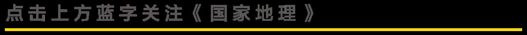 哪种深圳才最“圳”撼？