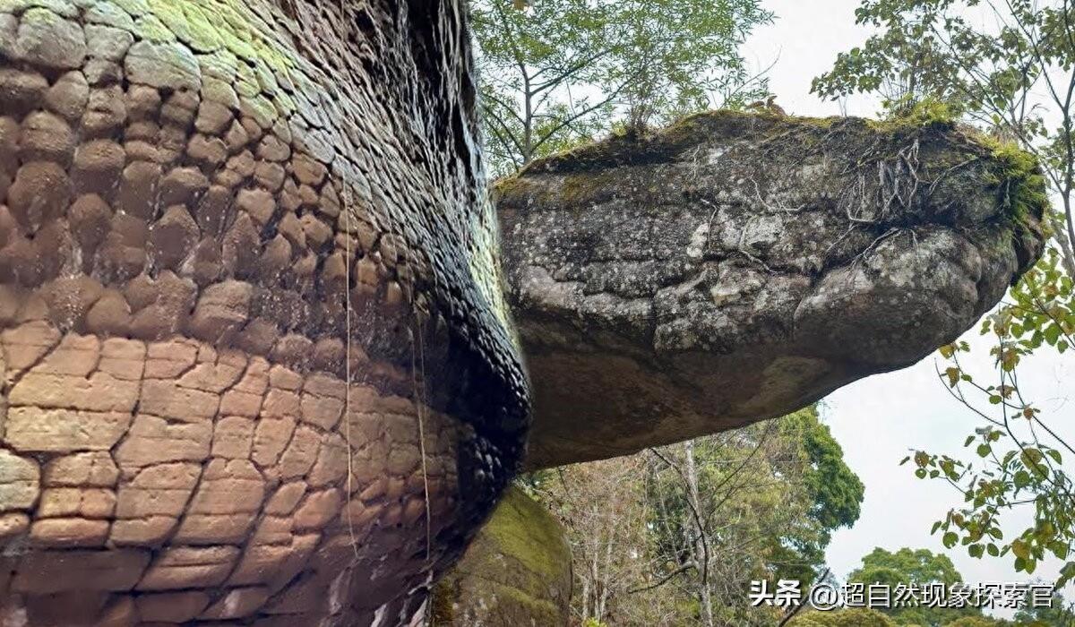 泰国丛林的一块重达数吨岩石，形状像巨蛇。声称这是魔术师的杰作