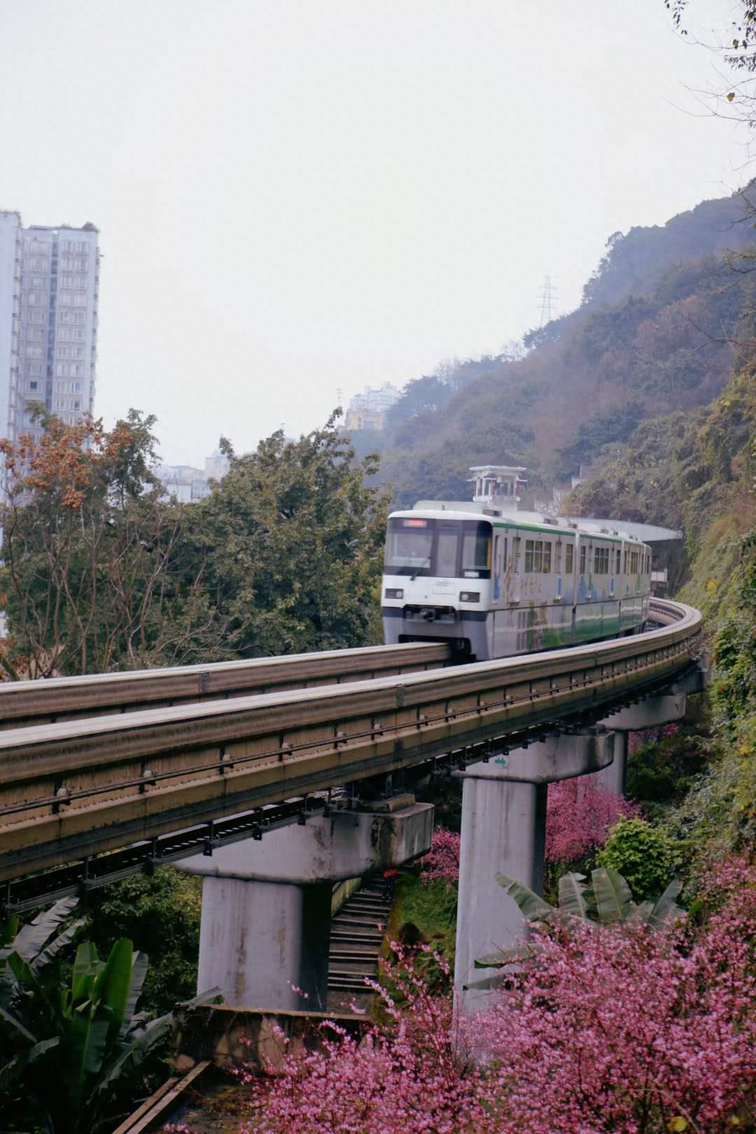 鹅岭有鹅吗？白象街有象吗？重庆这些老地名藏着历史的尘埃~