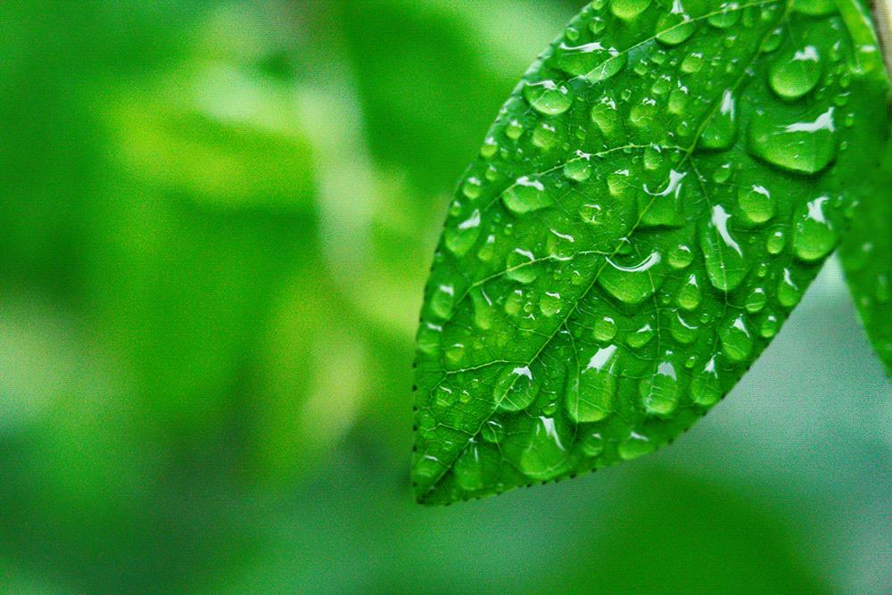 中国的每一场雨，都有一个好听的名字！