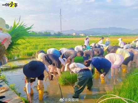 农学生的快乐你想象不到