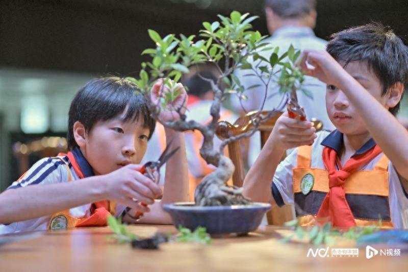 从“进校园”到“在校园”的广州实践：把非遗传承植根校园