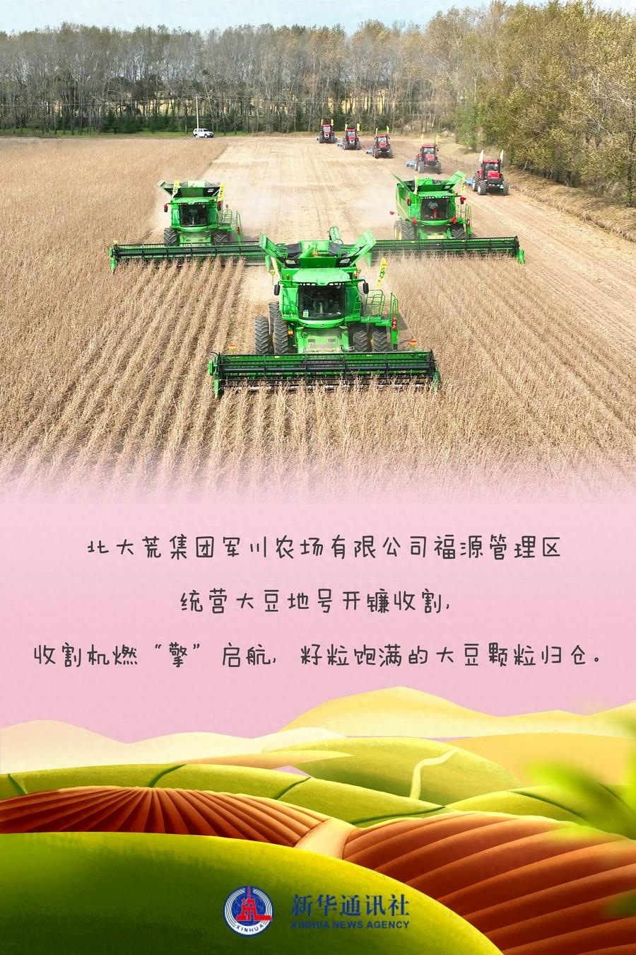 中国产粮第一大省迎来丰收季