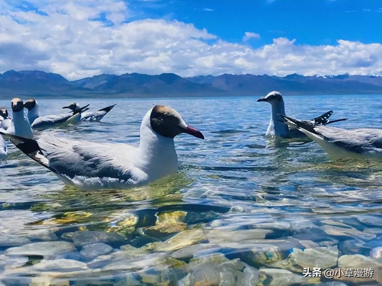 以湖闻名旅行目的地有哪些？我选了这8个