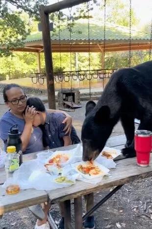 墨西哥一只熊跳上野餐桌和游客抢食 勇敢妈妈全程保护孩子