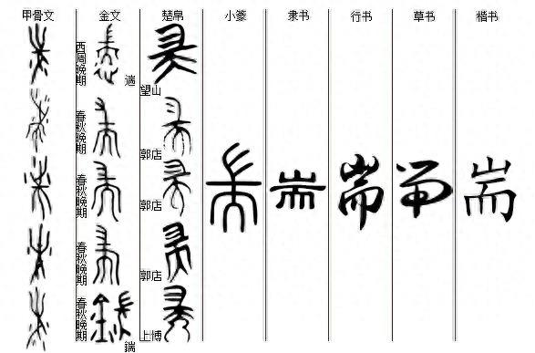 汉字历史——抽象篇（耑）附古文