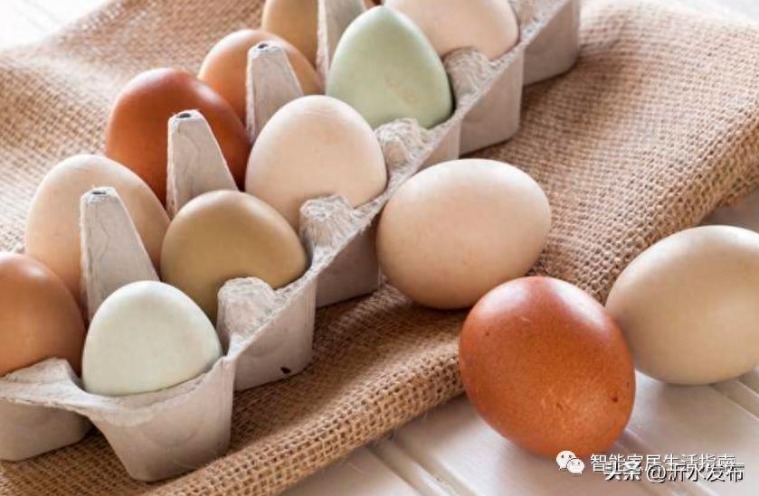 买鸡蛋时，选大的好还是选小的好？养殖户说漏了嘴，以后别瞎买了