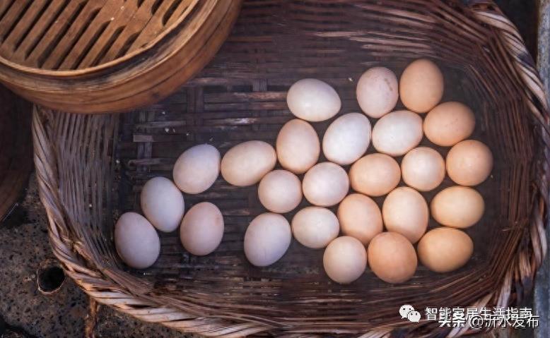 买鸡蛋时，选大的好还是选小的好？养殖户说漏了嘴，以后别瞎买了