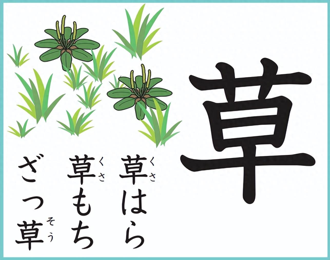 日本小学汉字读法（十、金、二、草）
