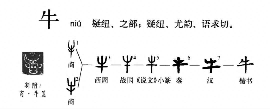 “我最”牛带你穿越千年 聊聊百家姓中的牛姓