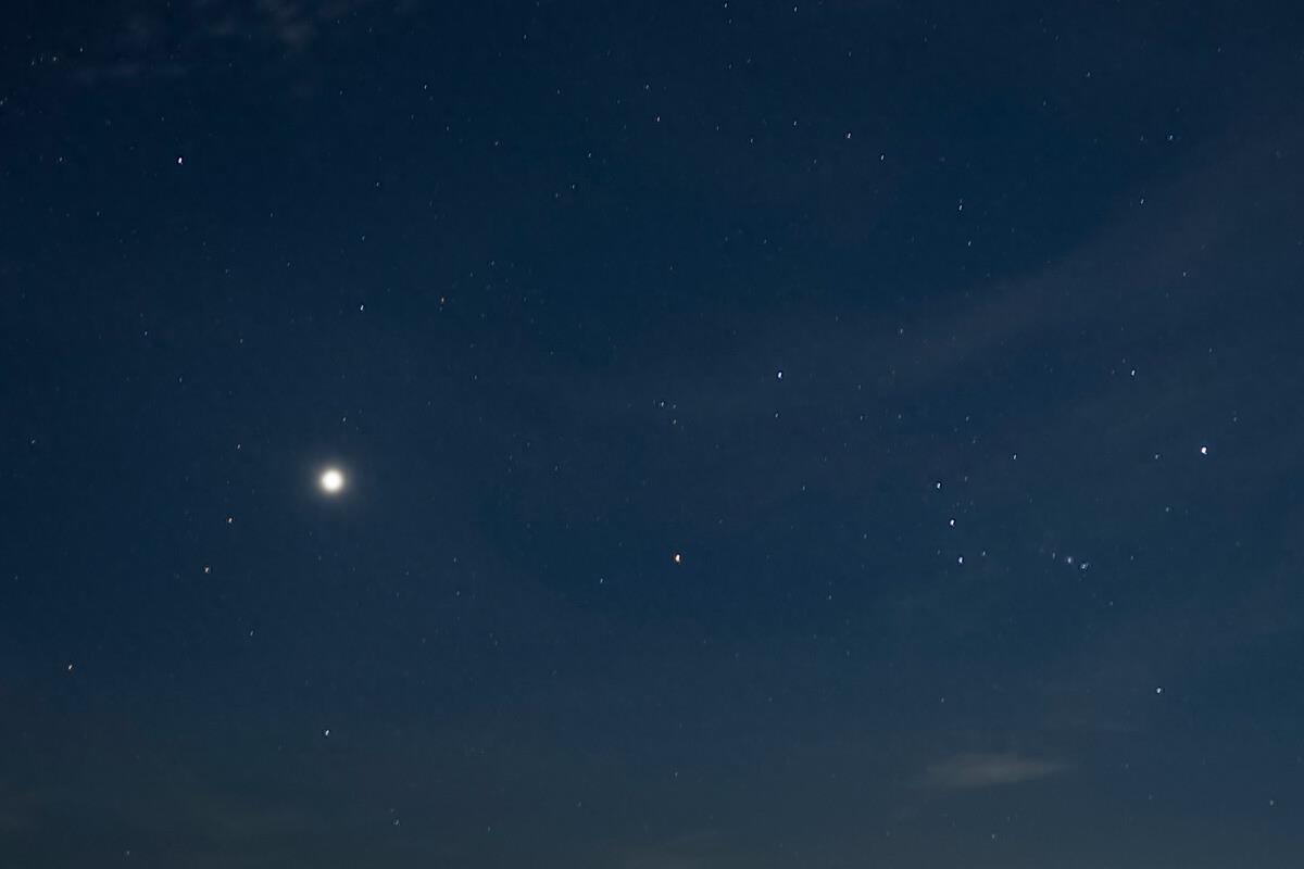 夜空中最亮的星，天文学家相信金星内部，可能存在浮游生物