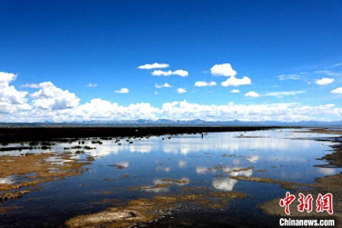 青海湖北岸仙女湾：夏日湿地风光如画