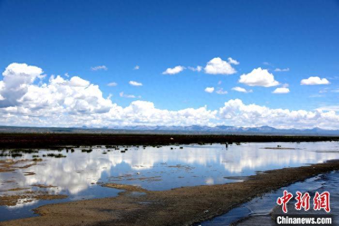 青海湖北岸仙女湾：夏日湿地风光如画