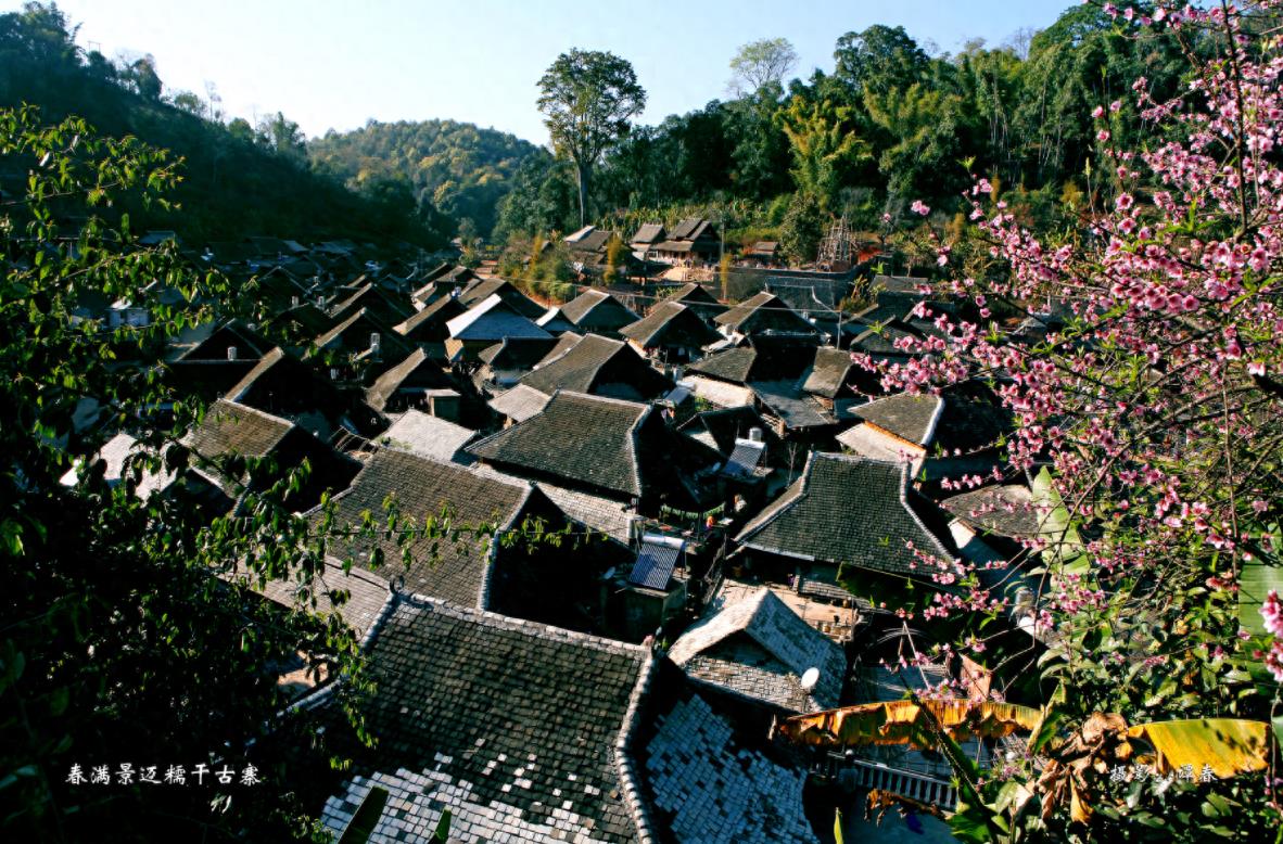 景迈山写给人类的信①：我是一座山，名字叫景迈