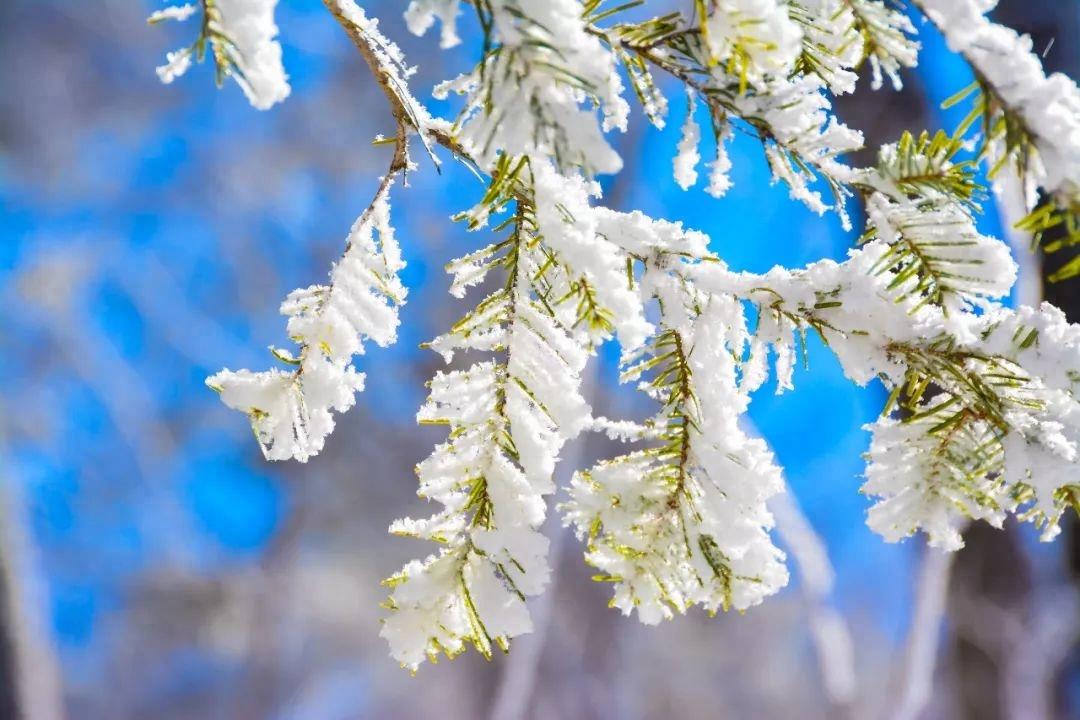 古人对雪的24种雅称，美到窒息！