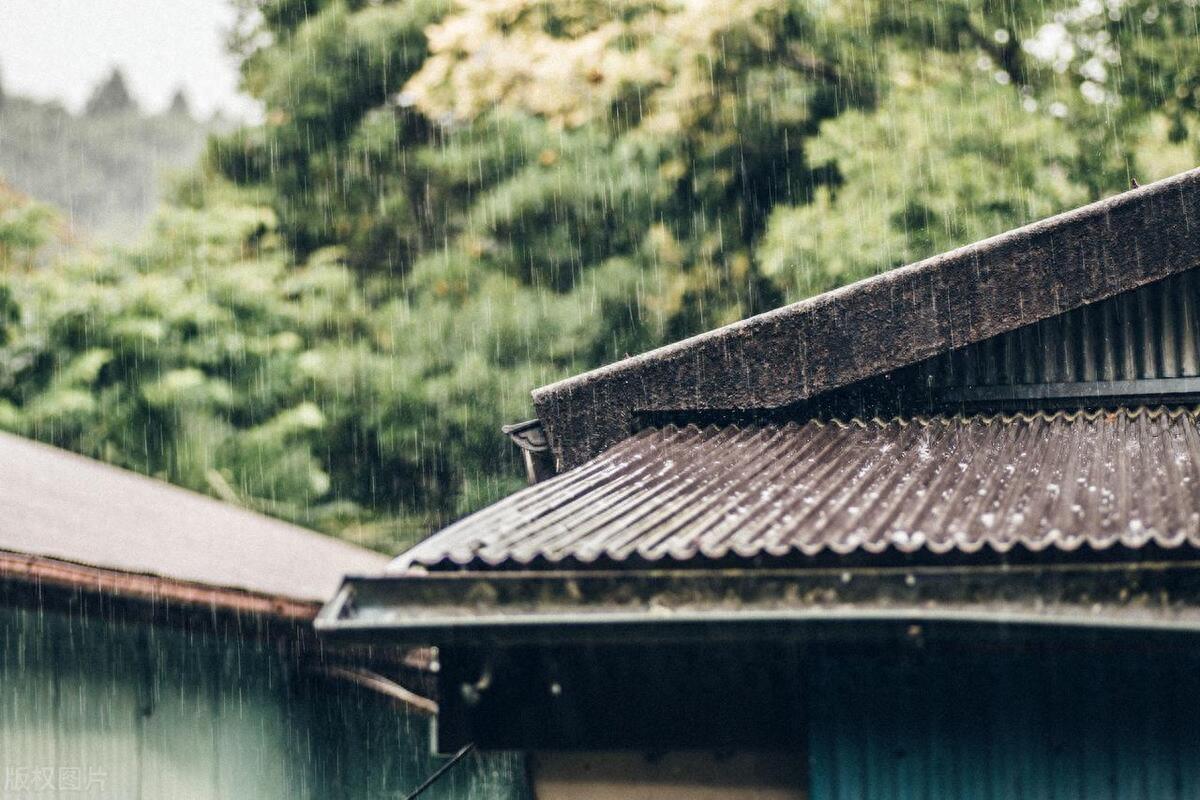 雨，雨