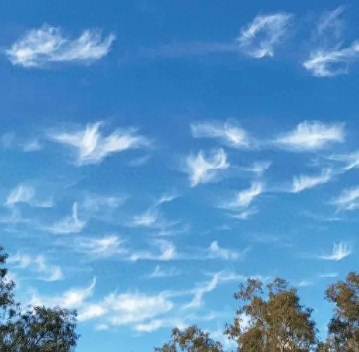 世界上几种奇特的云你见过几个呢？