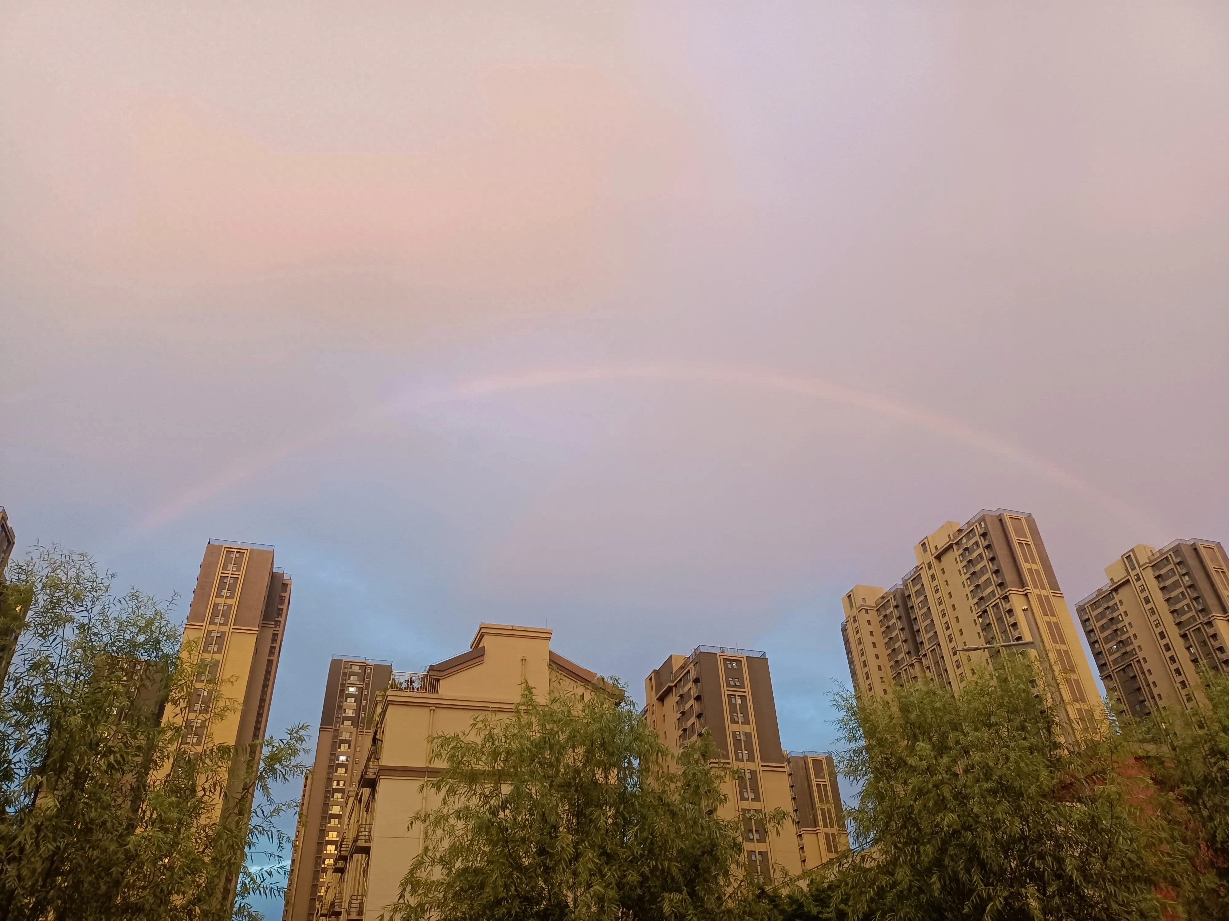 小练笔:雨（小练笔:雨之歌）