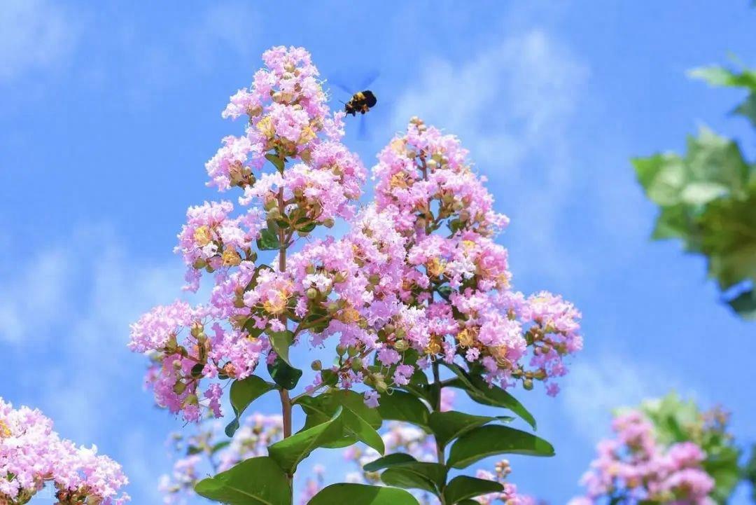 古诗飞花令合集——月（古诗飞花令大全）