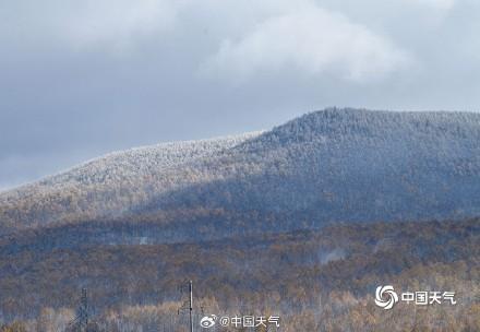 美翻了！内蒙古海拉尔半山黄叶半山雪