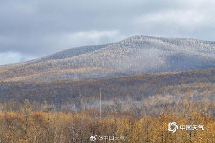 美翻了！内蒙古海拉尔半山黄叶半山雪