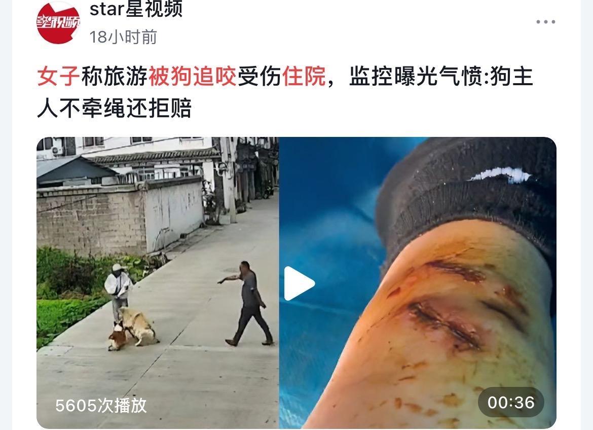 云南大理古城，女游客被金毛犬咬伤11天无人管：哭诉20天治不好