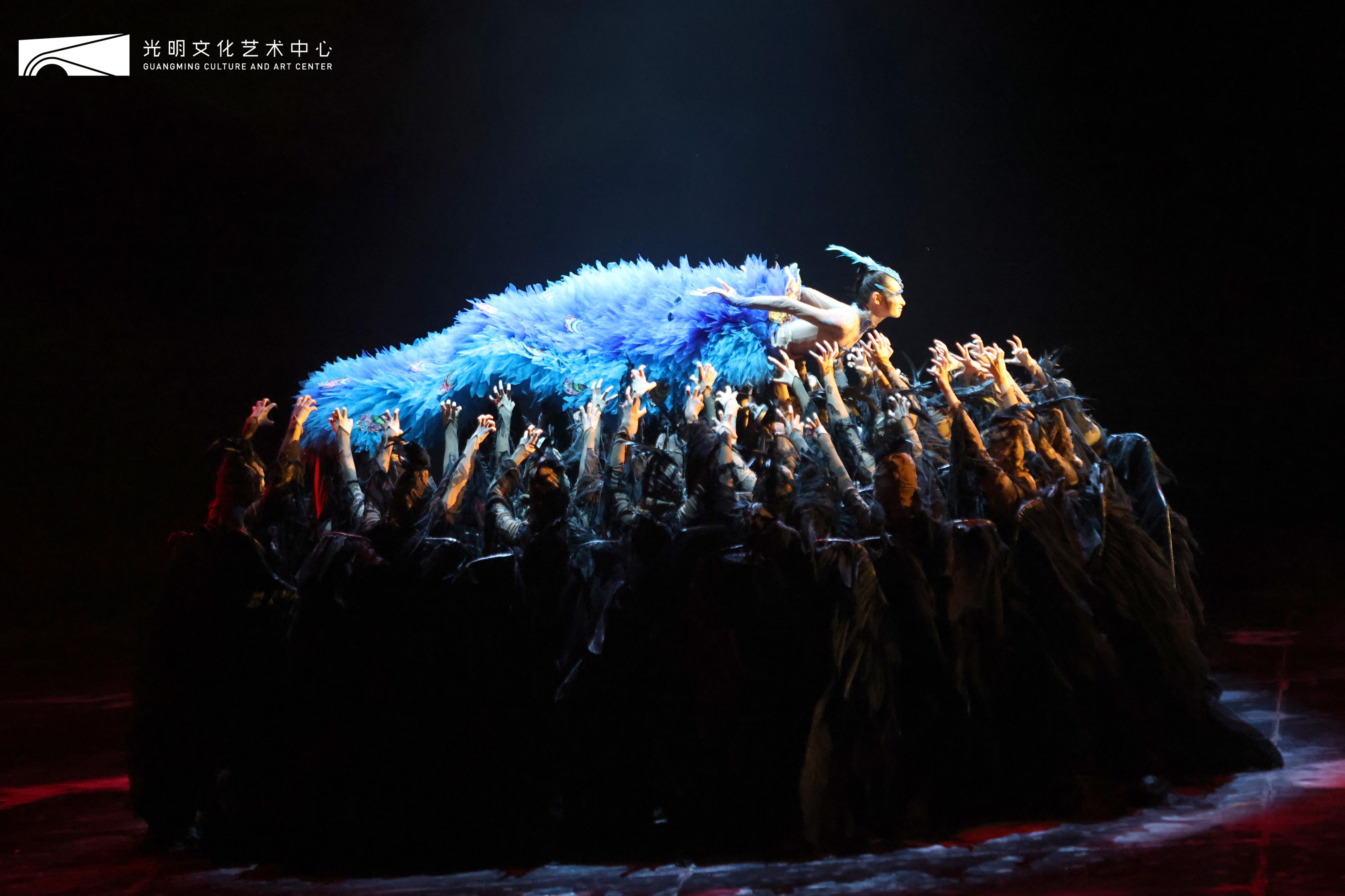 《孔雀》深圳上演，杨丽萍迎雪而舞叩问生命